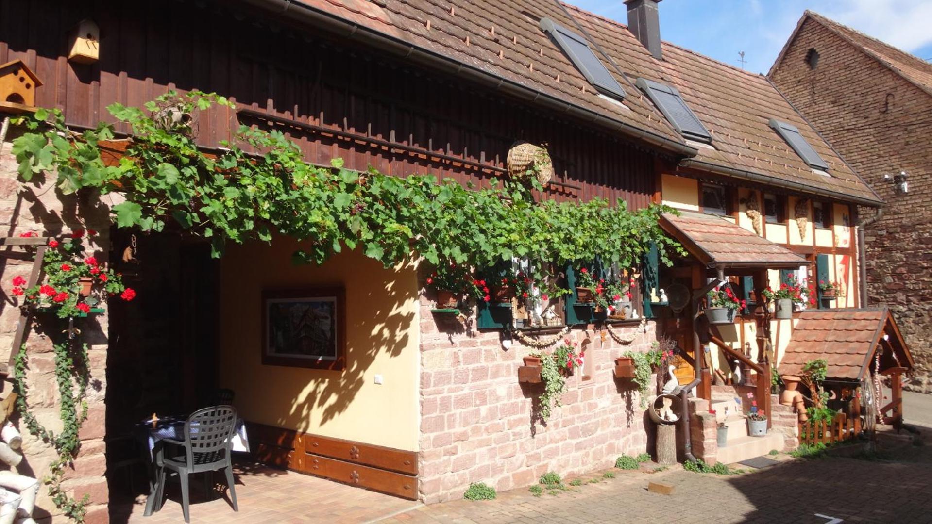 Gite Le Petit Moulin Rosenwiller Exterior photo