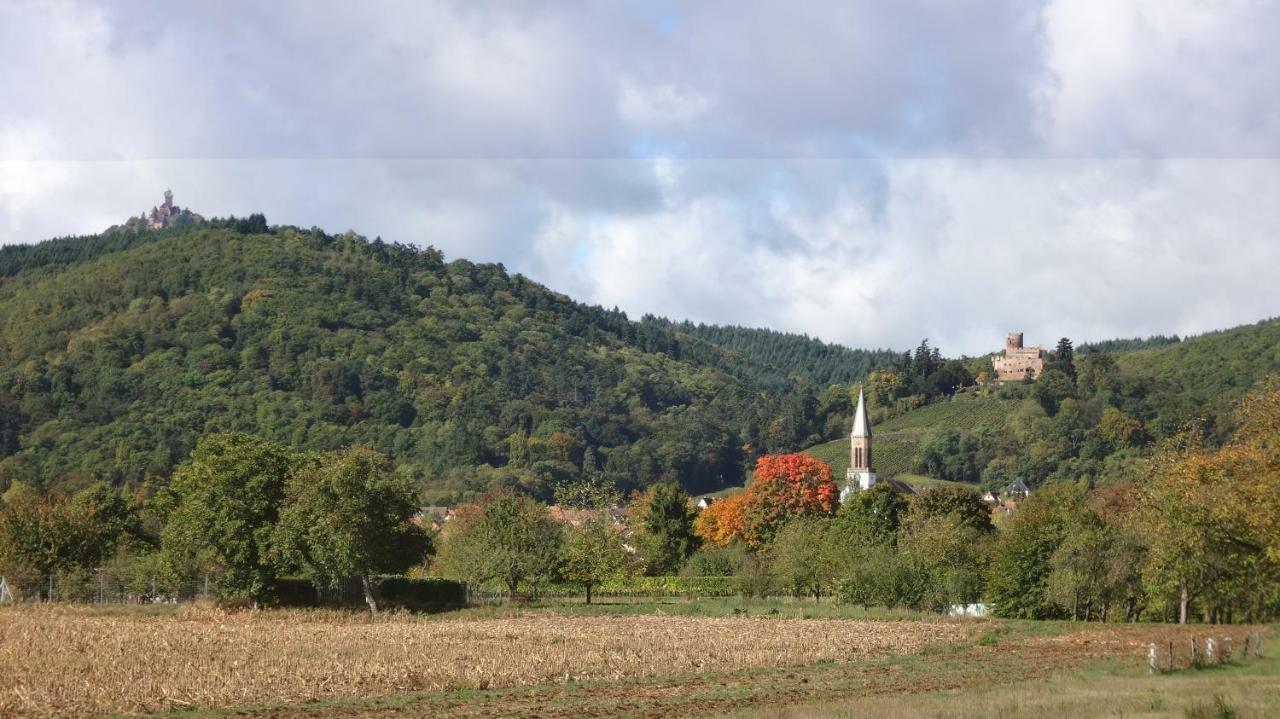 Gite Le Petit Moulin Rosenwiller Exterior photo