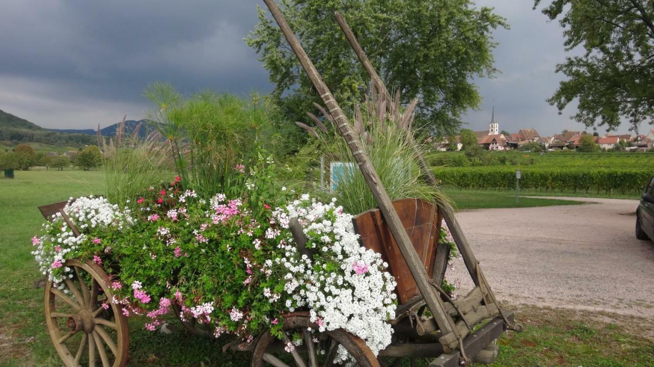 Gite Le Petit Moulin Rosenwiller Exterior photo