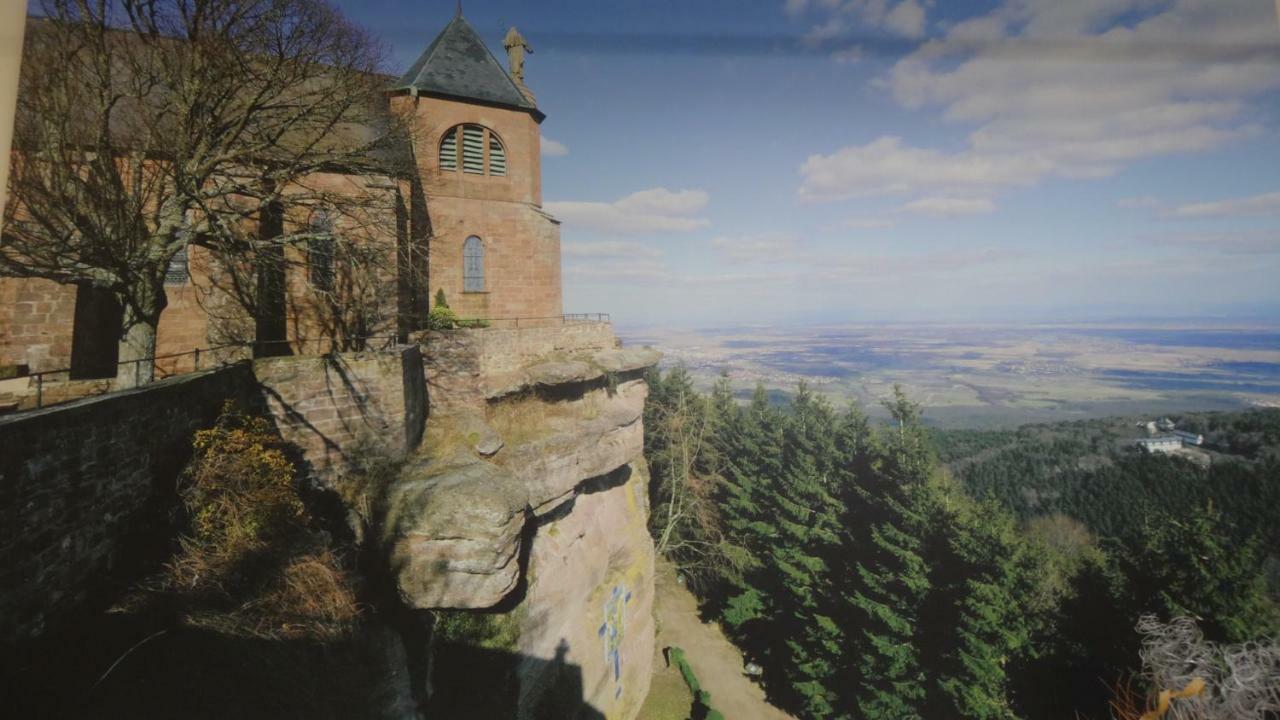 Gite Le Petit Moulin Rosenwiller Exterior photo